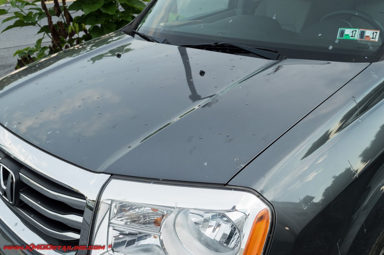 How To Remove Tree Sap From Your Car (Without Ruining The Paint)