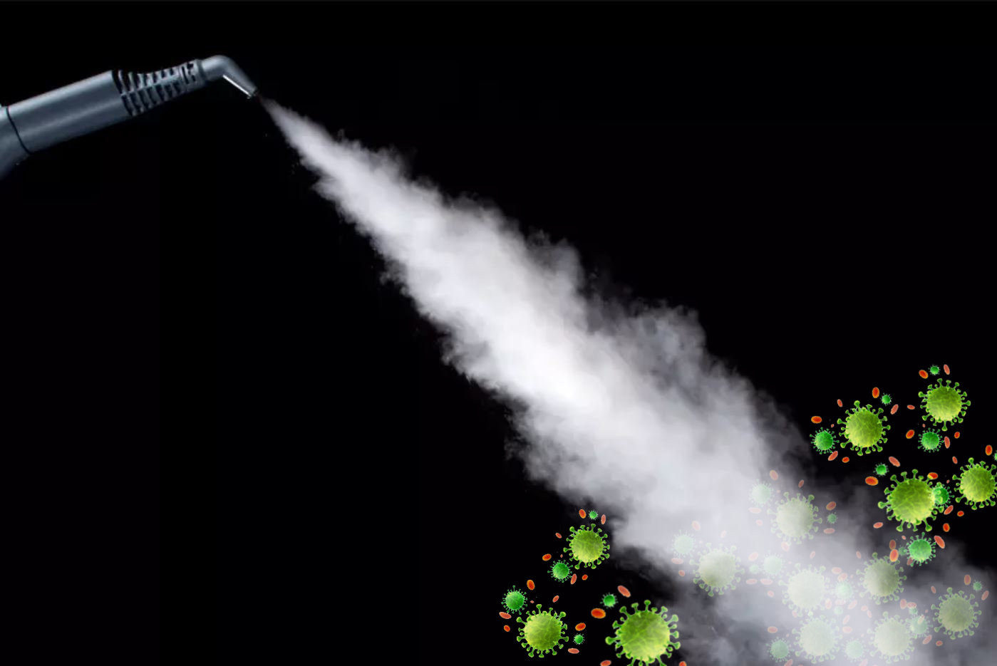 The Virus And Germ Destroying Convertible Steam Cleaner