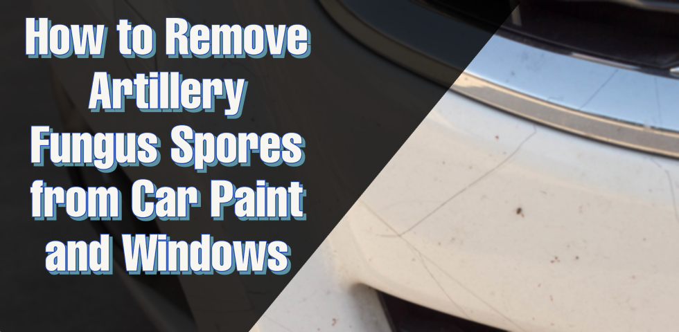 How to Remove Artillery Fungus on Car  