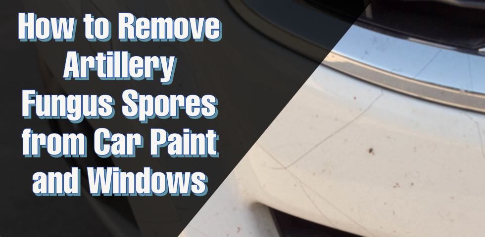 Ask DI How To Remove Artillery Fungus Spores From Car Paint And 