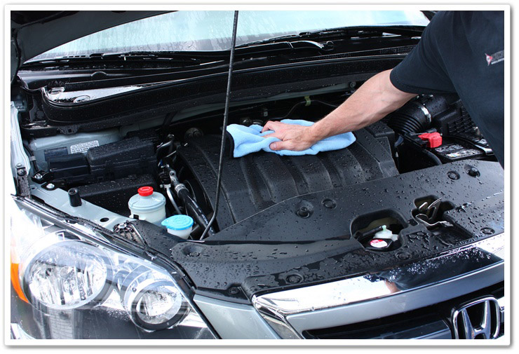8 Steps to Clean That Engine Bay, Articles