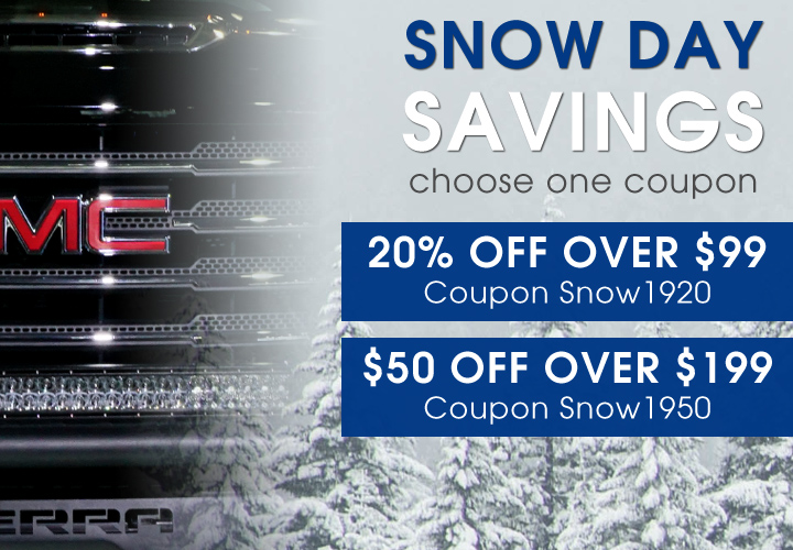 Snow Day Savings - choose one coupon - 20% Off $99 Coupon Snow1920 - $50 Off $199 Coupon Snow1950